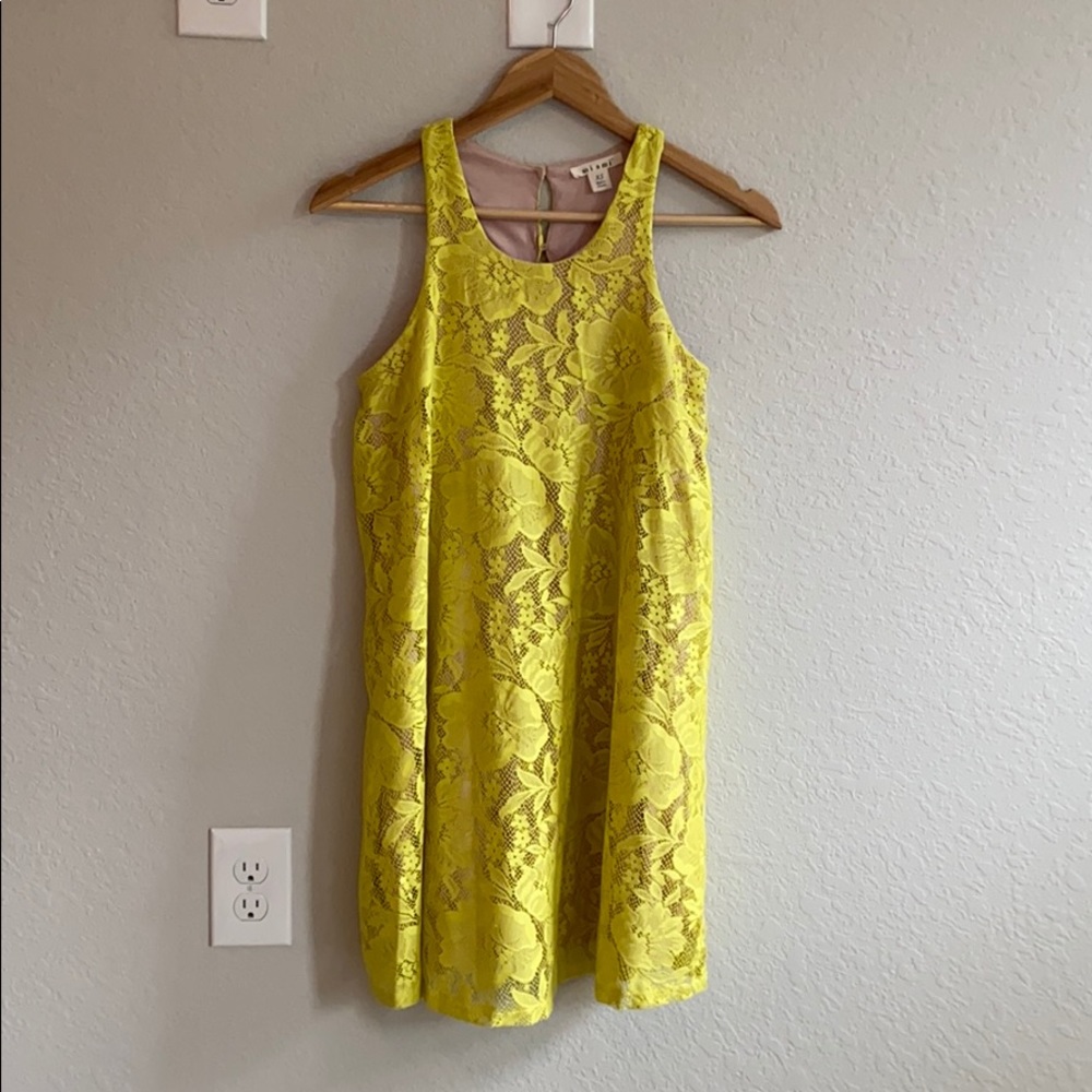 Francesca’s Spring Shift Dress